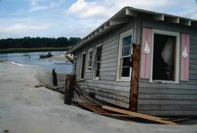 Pawleys Island (Wes Tyler)